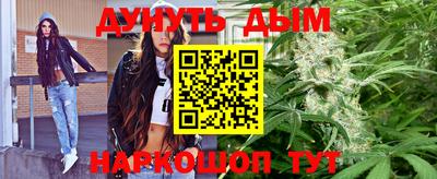стаф Новозыбков