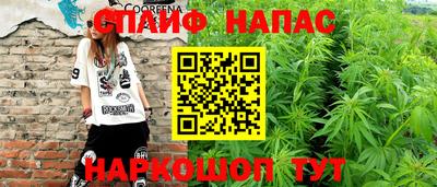 стаф Новозыбков