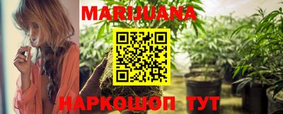 стаф Новозыбков