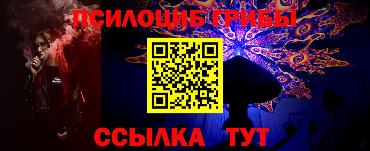 Галлюциногенные грибы мицелий Строитель
