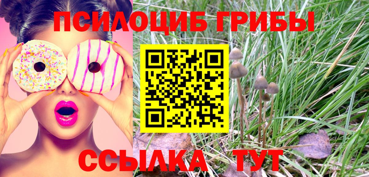 Галлюциногенные грибы прущие грибы  Галлюциногенные грибы ЛСД  Строитель  Вход с VPN 