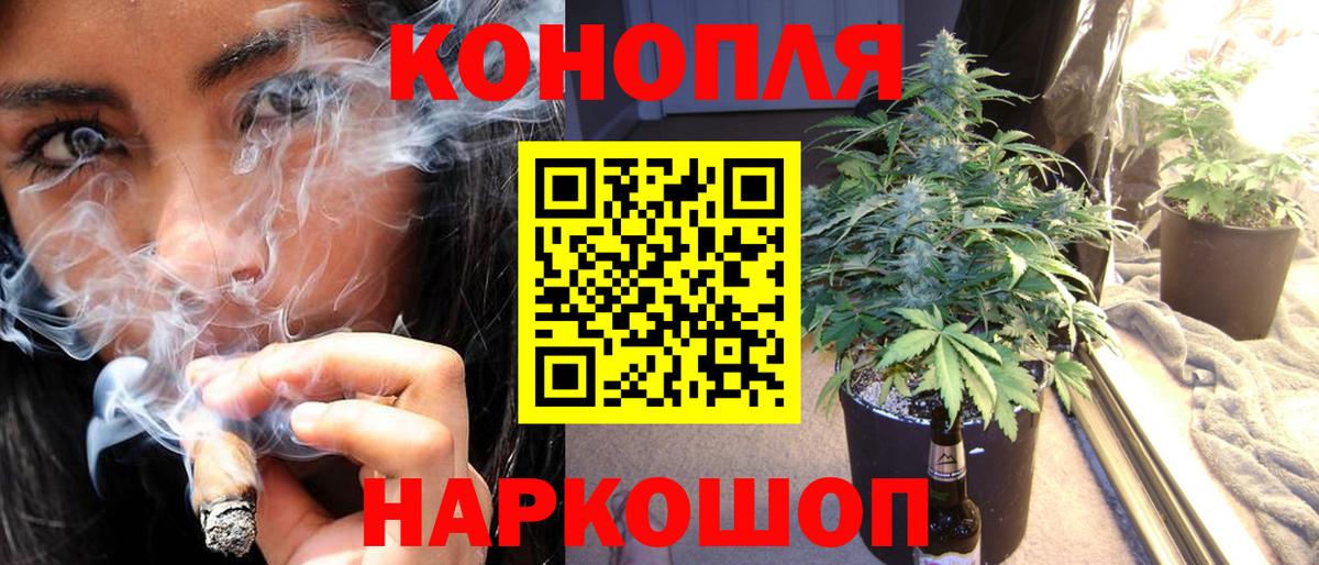 Строитель  Бошки Шишки планчик  Вход с VPN  Конопля White Widow 